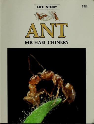 Tapa de Ant