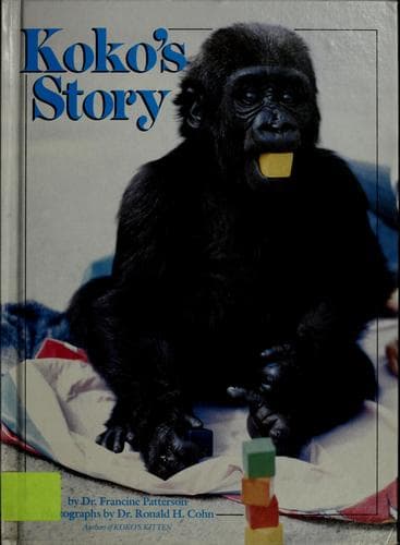 Tapa de Koko's story