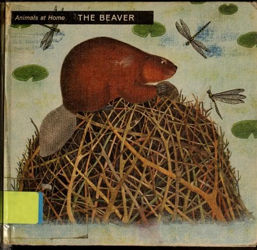 Tapa de The beaver