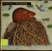 Tapa de The beaver