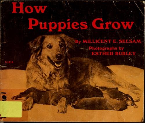Tapa de How puppies grow