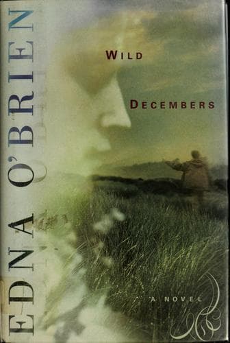 Tapa de Wild Decembers