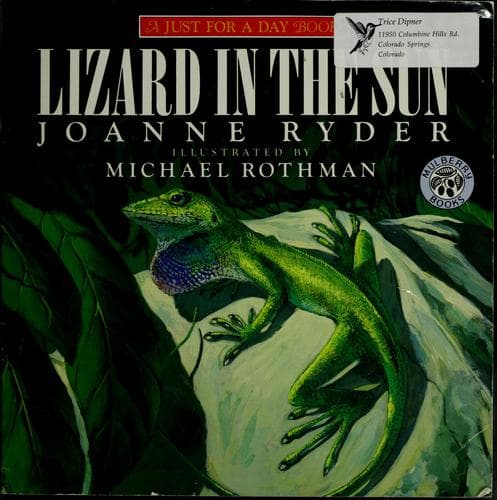 Tapa de Lizard in the sun