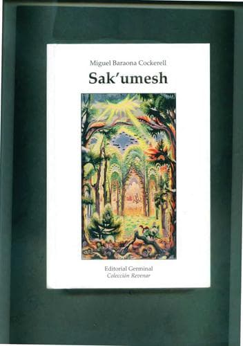 Tapa de Sak'umesh