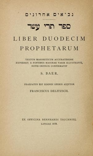 Tapa de Liber Duodecim Prophetarum