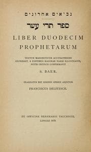 Tapa de Liber Duodecim Prophetarum