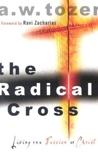 Tapa de The Radical Cross