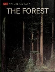 Tapa de The forest