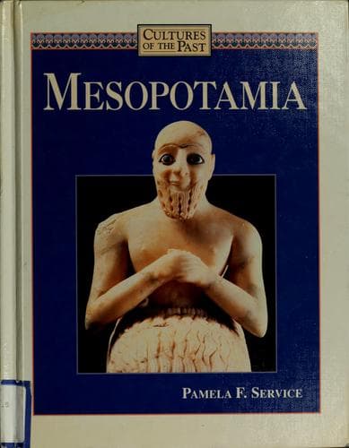 Tapa de Mesopotamia