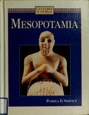 Tapa de Mesopotamia