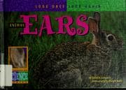 Tapa de Animal ears