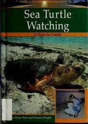 Tapa de Sea turtle watching