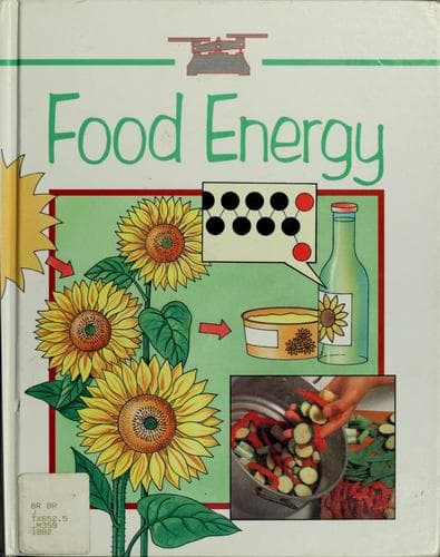 Tapa de Food energy