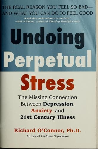 Tapa de Undoing perpetual stress