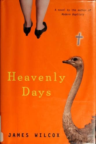 Tapa de Heavenly days