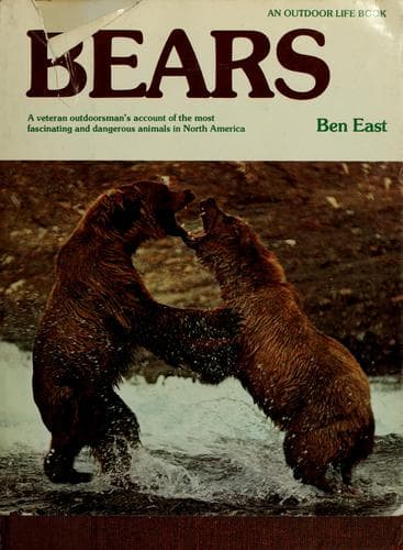Tapa de Bears