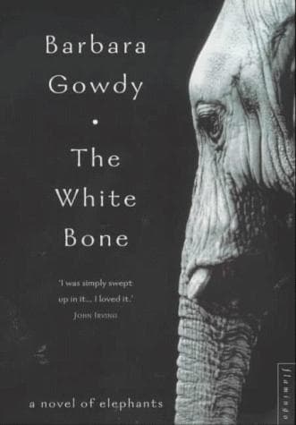 Tapa de The White Bone