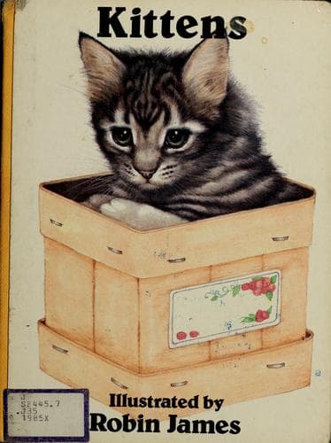 Tapa de Kittens