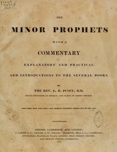 Tapa de The Minor prophets