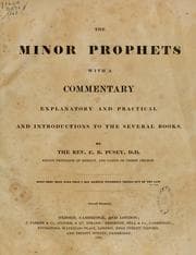 Tapa de The Minor prophets