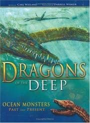 Tapa de Dragons of the Deep