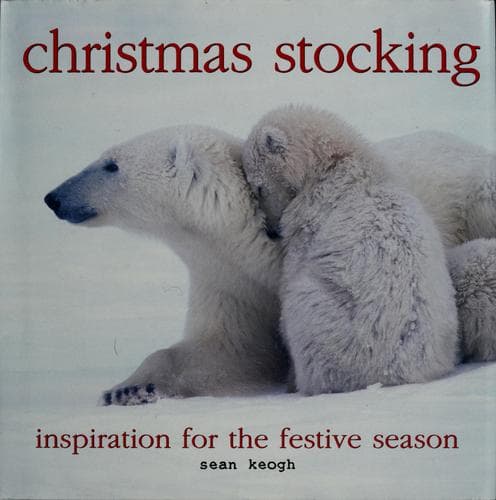Tapa de Christmas stocking