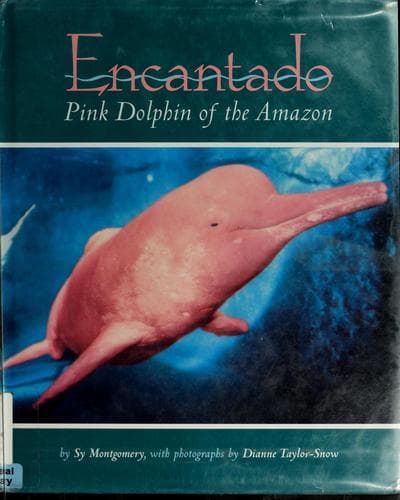 Tapa de Encantado