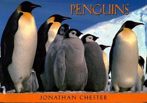 Tapa de Penguins