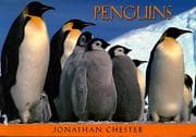 Tapa de Penguins