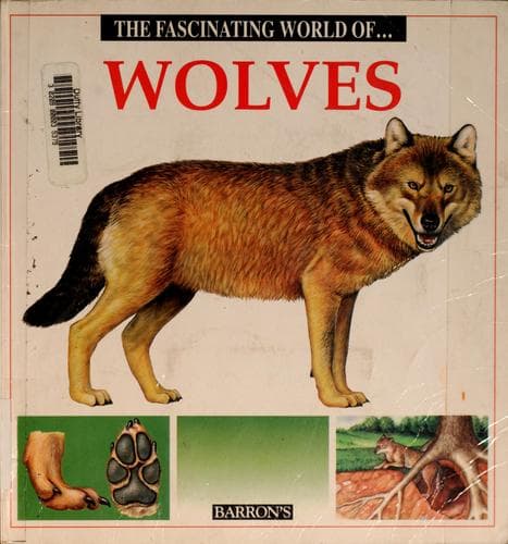 Tapa de Wolves