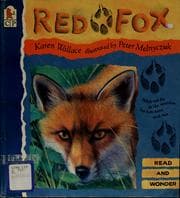 Tapa de Red fox