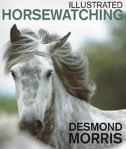 Tapa de Illustrated Horsewatching