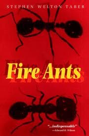Tapa de Fire Ants