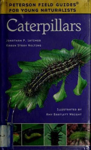 Tapa de Caterpillars