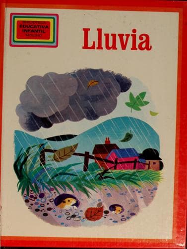 Tapa de Lluvia