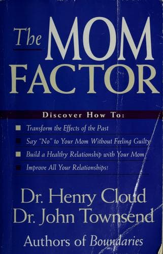 Tapa de The mom factor