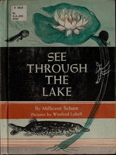 Tapa de See through the lake