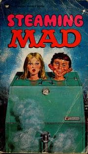 Tapa de Steaming mad