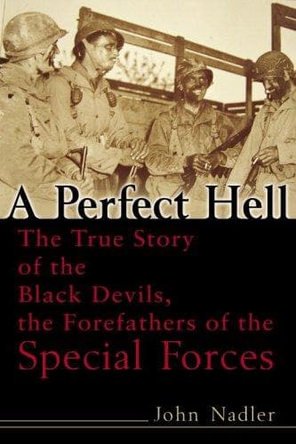 Tapa de A perfect hell