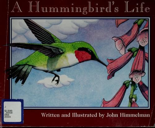 Tapa de A Hummingbird's life