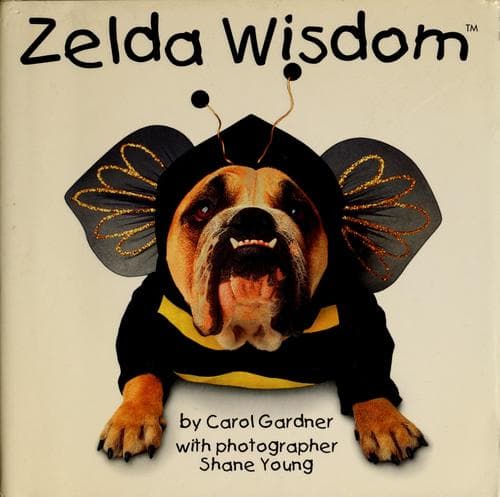 Tapa de Zelda wisdom