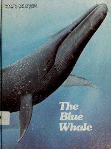 Tapa de The blue whale