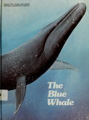 Tapa de The blue whale