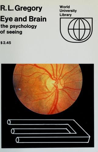 Tapa de Eye and brain