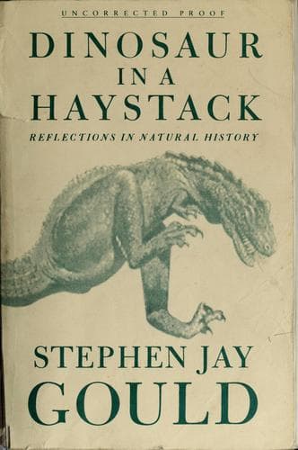 Tapa de Dinosaur in a haystack