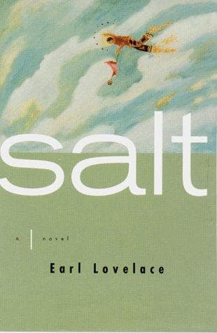 Tapa de Salt