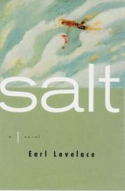 Tapa de Salt