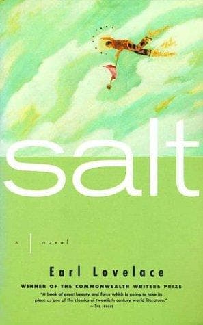 Tapa de Salt