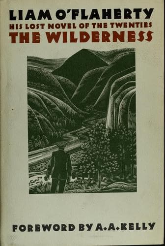 Tapa de The wilderness