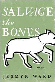 Tapa de Salvage the Bones